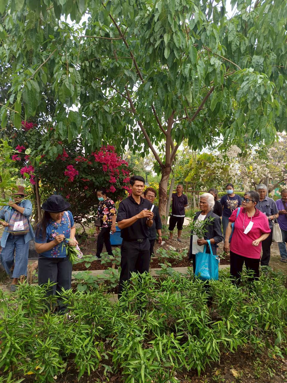 title - ศกร. หนุน “กองทุนฟื้นฟูฯ” พลิกโฉมเกษตรกรไทย! ปรับวิธีคิด-เติมเทคนิคการผลิต สร้างอำนาจต่อรองยุควิกฤตโลก
